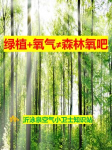 綠植+氧氣 ≠“森林氧吧”，你猜對(duì)了嗎